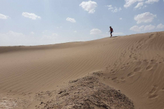 Compress_20220423_154555_5830