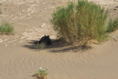 Compress_20220423_154559_9976