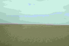 Compress_20220425_205241_1099