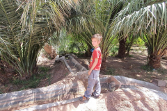 Compress_20220425_205242_2856