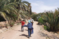 Compress_20220425_205243_3766