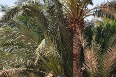 Compress_20220425_205244_4105