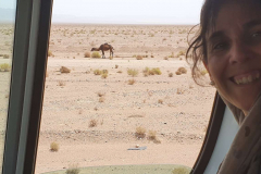 Compress_20220425_205245_5015