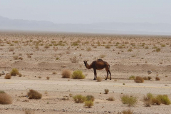 Compress_20220425_205245_5313