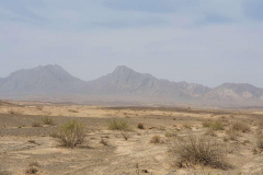 Compress_20220425_205245_5611