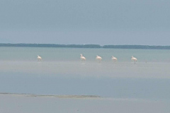 Compress_20220501_215648_8074