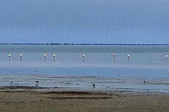 Compress_20220501_215648_8281