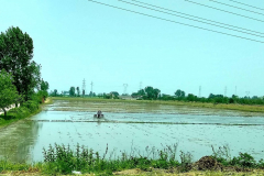 Compress_20220501_215849_9884-scaled