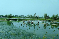 Compress_20220501_215850_0008