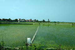 Compress_20220501_215850_0138