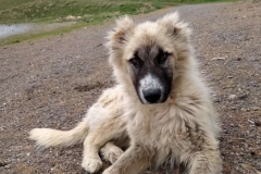 Compress_20220512_172400_0181