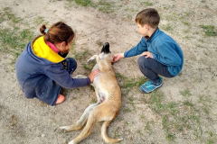 Compress_20220512_172400_0384