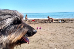 Compress_20220512_172401_1463