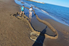 Compress_20220512_172401_1707