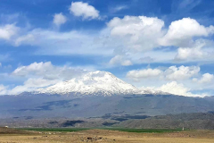 Compress_20220512_172410_0394