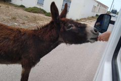 Compress_20220521_154929_9484