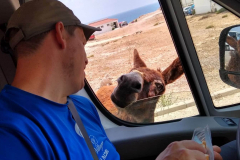 Compress_20220521_154929_9668