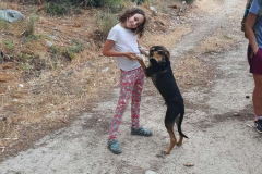 Compress_20220521_154931_1310