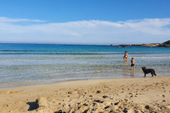 Compress_20220521_154935_5171