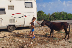 Compress_20220521_154936_6151