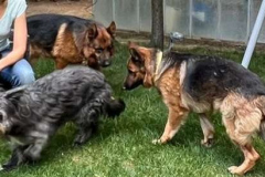 Compress_20220530_131217_7688