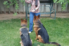 Compress_20220530_131218_8538