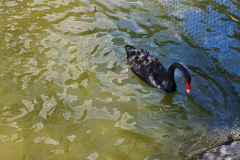 Compress_20220530_131218_8827