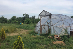 Compress_20220603_205226_6016