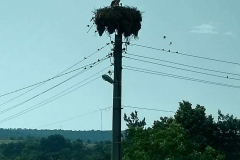 Compress_20220604_184850_0630