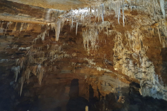 20220610_113626-scaled