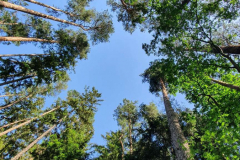 Compress_20220626_120731_1519