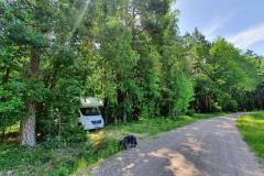 Compress_20220626_120732_2235