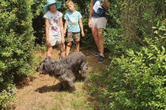 Compress_20220626_122331_1244