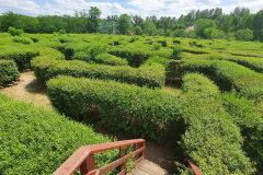 Compress_20220626_122331_1688