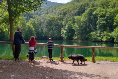 IMG_20220609_103859845_HDR