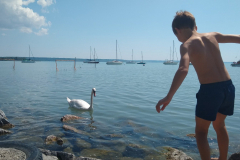 IMG_20220613_103112482