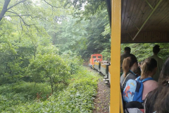 Screenshot_20220618-233138_Gallery-scaled