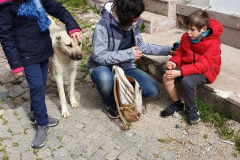 Compress_20220314_230526_6555