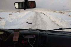 Compress_20220324_101827_7226