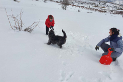 Compress_20220324_101830_0142