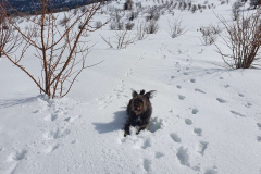 Compress_20220324_101830_0596