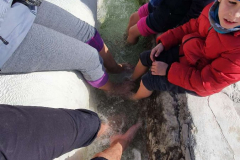 Compress_20220324_101832_2767