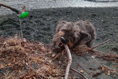 Compress_20220406_182829_9300