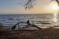 Compress_20220406_182831_1396