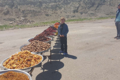 Compress_20220420_191623_3984